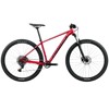 Fahrrad Orbea Onna 29 40 2026