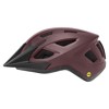 Helm Liv Path Mips