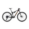Fahrrad  Coluer Stake Cr 4.5 2024