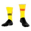 Socken Bioracer Tech Sock Olympics 2024